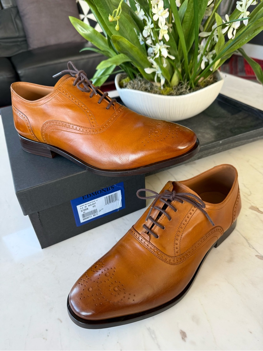 New Allen Edmonds Siena Medallion Oxford Dress Shoe Walnut Leather - Picture 11 of 15